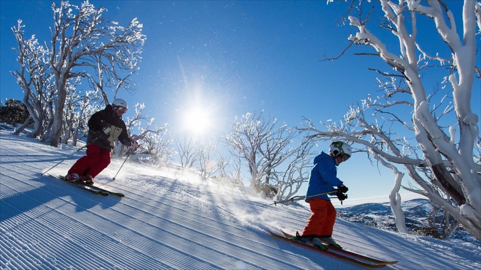 Kết quả hình ảnh cho Snowy Mountains, NSW