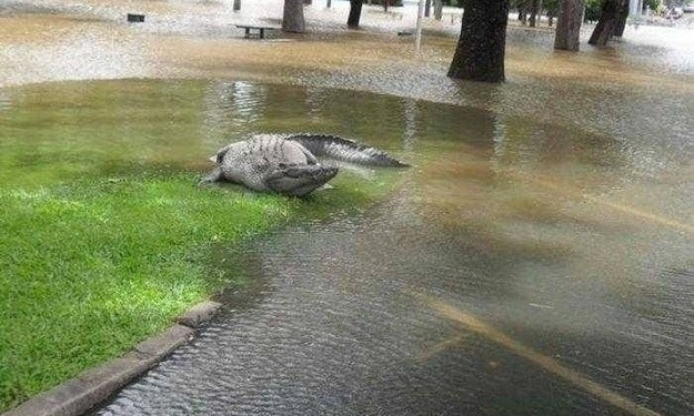 Bạn cần thật sự "chuẩn bị tinh thần" khi đi du lịch ở Úc