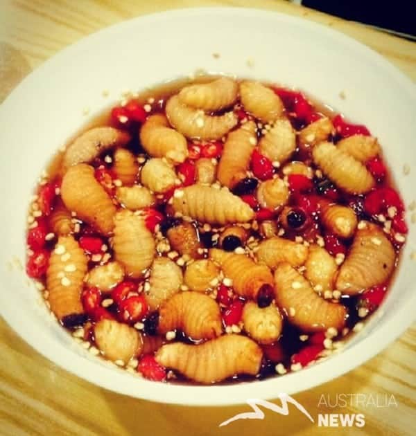 Những món ăn sống của Việt Nam khiến khách Tây sợ hãi