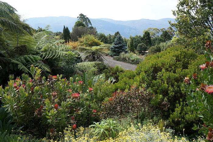 Mount Tomah
