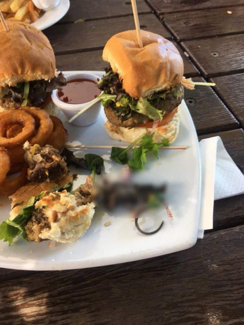 Perth: Cắn ngập miệng chiếc burger ngày Quốc khánh, chàng trai thấy nguyên một con chuột chết - ảnh 1