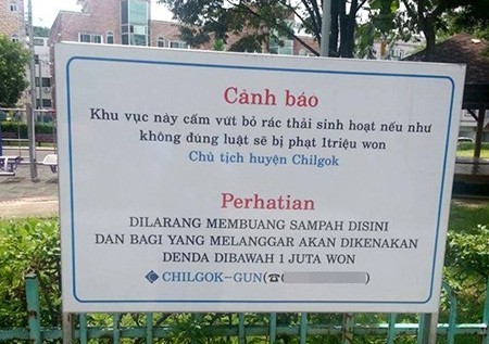 Hình ảnh có liên quan