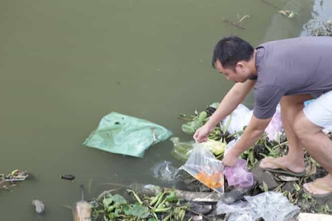 Cá chép tiễn ông Táo về trời: 1 người thả, 3 người bắt - Ảnh 1