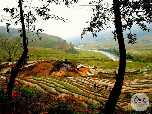 Ngôi nhà nhỏ nằm giữa thung lũng ở Sa Pa. Ảnh: KUUK and Travel.