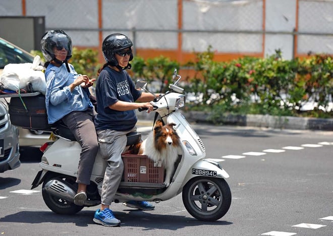 Vut xe may cu, dan Singapore duoc tra 2.600 USD moi chiec hinh anh 1
