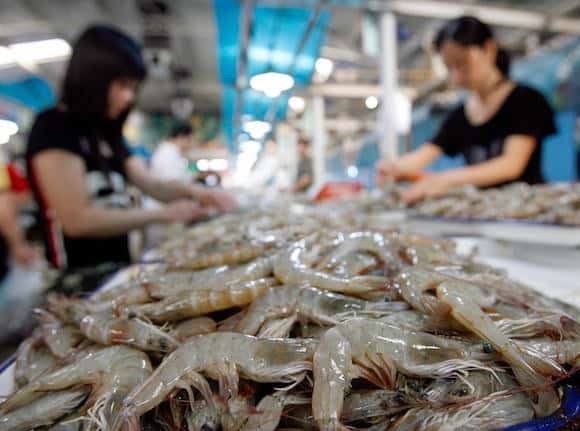 thực phẩm bẩn, Trung Quốc, tôm bơm tạp chất, thịt bẩn, sữa giả