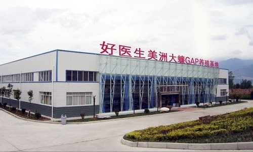 Trang trại nuôi 6 tỷ con gián mỗi năm của Tập đoàn Dược phẩm Gooddoctor. Ảnh: SCMP.
