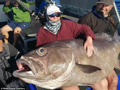 Nữ du khách chụp ảnh thành quả chuyến đi câu. Ảnh: Reel Force Charters. 