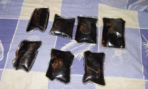 BÃ¡c sÄ© thÃº y nháº«n tÃ¢m má» bá»¥ng chÃ³ giáº¥u heroin Äá» buÃ´n láº­u - áº£nh 1