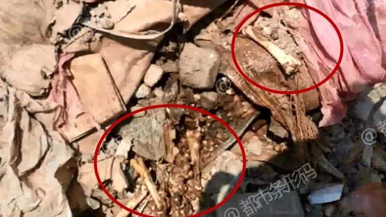 Trung Quốc,thịt đông lạnh,buôn lậu,tiêu hủy,thịt thối rữa