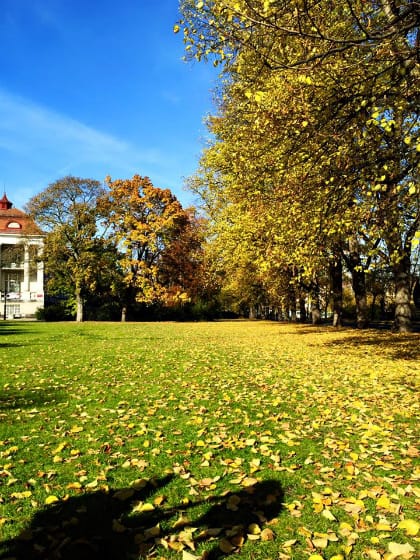 Chị Trâm cho biết cảnh sắc vùng Karlovy Vary (Cộng hòa Czech) nơi chị từng sống đẹp như cổ tích nhưng chỉ khiến chị thích thú thời gian đầu, không thể làm vơi bớt nỗi nhớ gia đình, quê hương. Ảnh: Quỳnh Trâm.