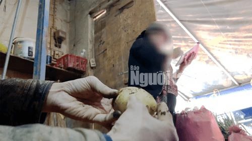 ĐIỀU TRA: Nông sản Trung Quốc nhái hàng Đà Lạt - Đủ chiêu hóa kiếp - Ảnh 2.