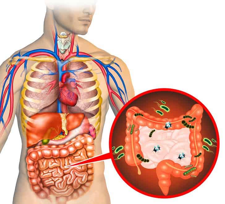 Nếu thấy những dấu hiệu này thì phải thải độc cho cơ thể ngay vì đã nghiêm trọng lắm rồi - Ảnh 8.