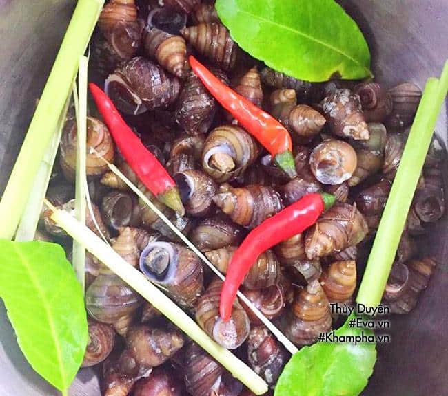 cach luoc oc ngon, tuoi gion tuyet hao chi em khong the bo qua - 3