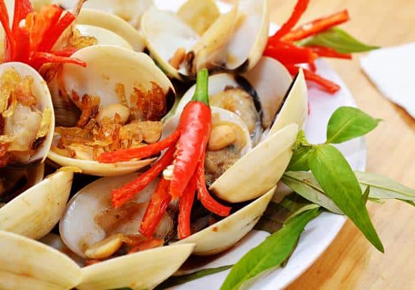 Tổng hợp những món ăn ngon từ ngao cho bạn đổi vị mỗi ngày