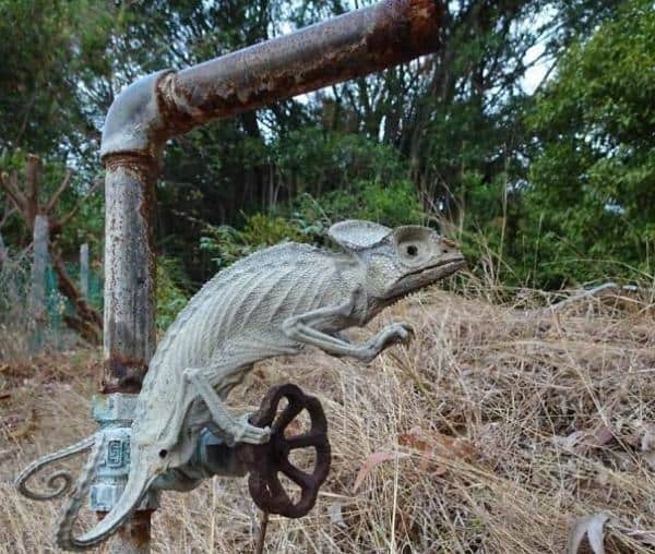 Những bằng chứng cho thấy thiên nhiên còn đáng sợ hơn cả phim kinh dị!