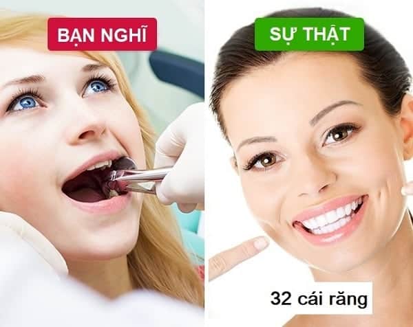 Những quan niệm thực sự sai lầm về sức khỏe răng miệng bạn cần thay đổi nếu không muốn hỏng hết răng