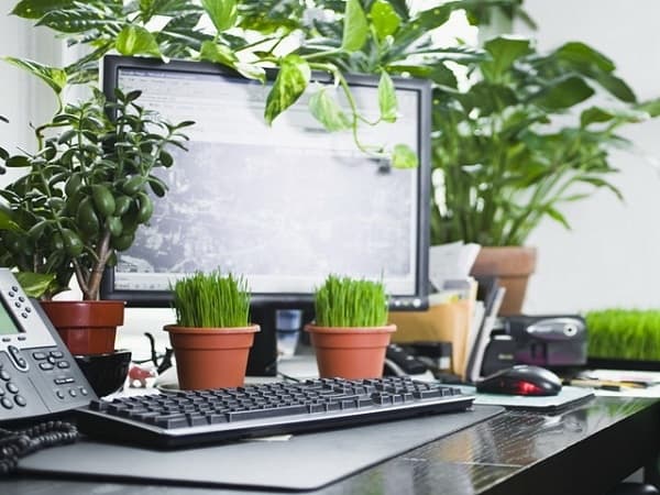 Bạn có biết? Ngồi trước máy tính, điện thoại liên tục hại da như phơi nắng giữa trưa suốt 20 phút
