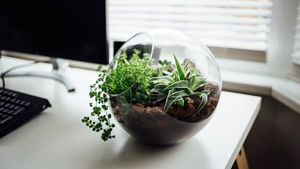 Bạn có biết? Ngồi trước máy tính, điện thoại liên tục hại da như phơi nắng giữa trưa suốt 20 phút
