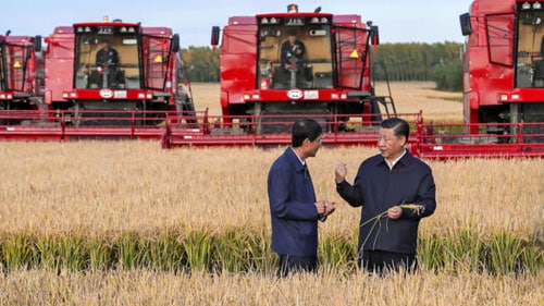 Ông Tập (phải) đến thăm một nông trường ở tỉnh Hắc Long Giang hồi tháng 9. Ảnh: Reuters.