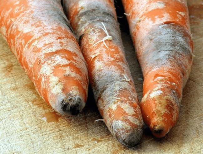 7 loại thực phẩm có nguy cơ gây ung thư hàng đầu cần tránh xa
