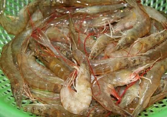 Lựa chọn tuyệt với cho bữa cơm cuối ngày với ba món ngon hoành tráng nhưng cực dễ làm