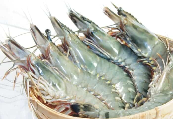 Chế biến món tôm cuộn khoai tây chiên giòn cực hấp dẫn góp phần làm bữa ăn thêm độc đáo