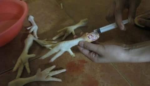  Chân gà trên bàn ăn, bàn nhậu được tính theo cặp tuy nhiên khi nó còn ở hiện trạng ban đầu sẽ được cân, đo bằng ký hay thậm chí là tấn. 