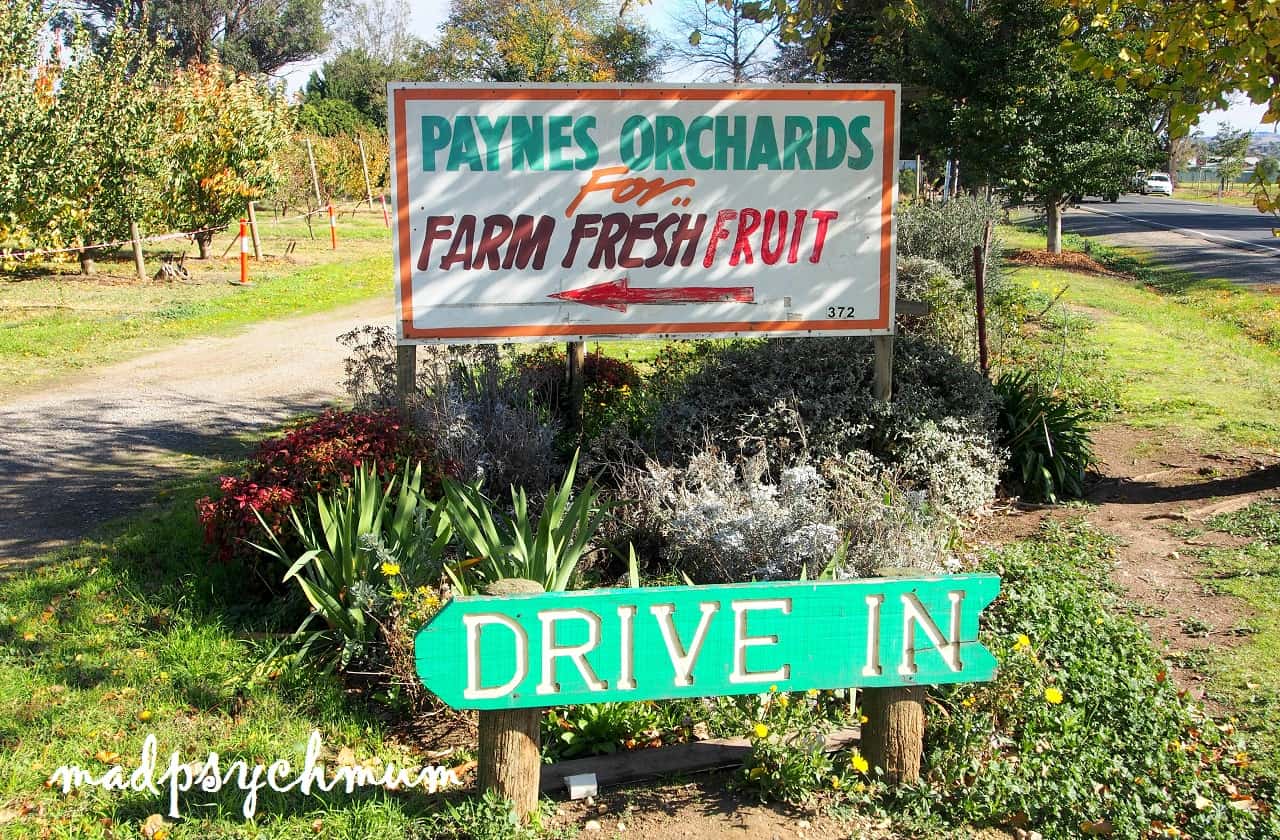 Kết quả hình ảnh cho Paynes Orchards