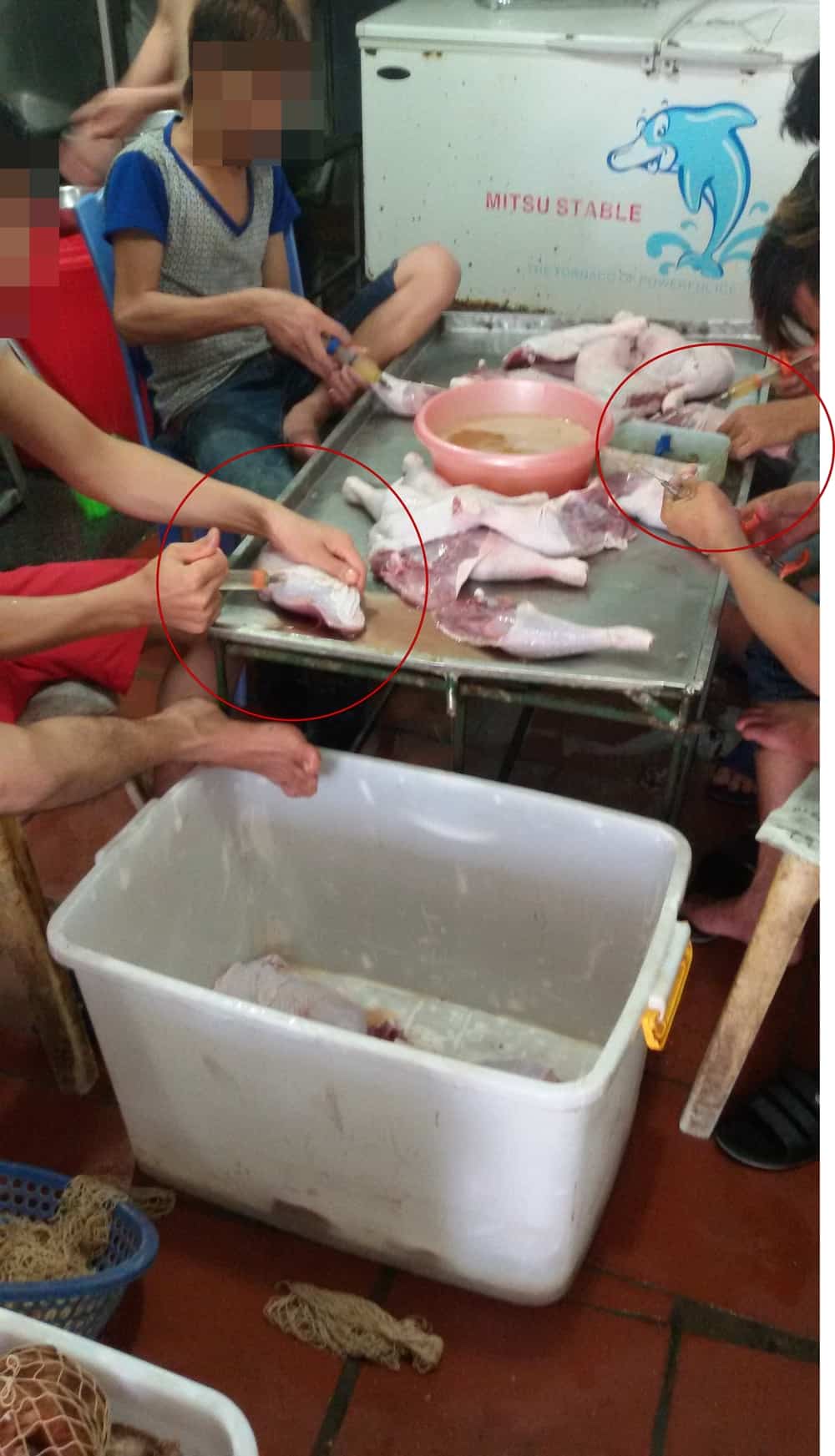  Gà công nghiệp tiêm thuốc cũng chứa không ít rủi ro khi người ta ăn phải. 