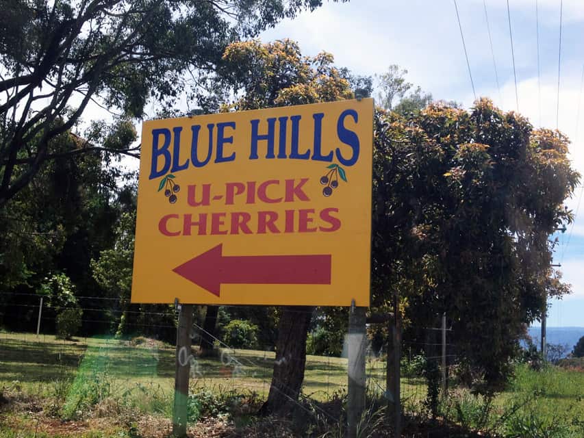 Kết quả hình ảnh cho Blue Hills Cherry Farm