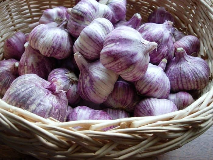 Tuyệt chiêu giảm nghẹt mũi đơn giản khi thời tiết thay đổi