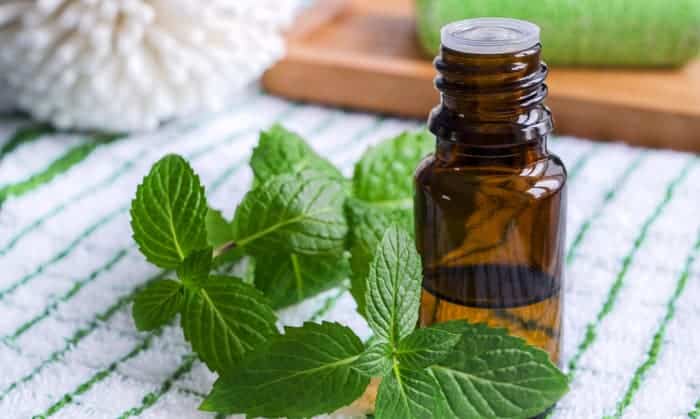 Tuyệt chiêu giảm nghẹt mũi đơn giản khi thời tiết thay đổi