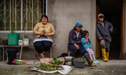 Gia đình phàn nàn về giá điện ở Cuyuja. Ảnh: NYTimes.