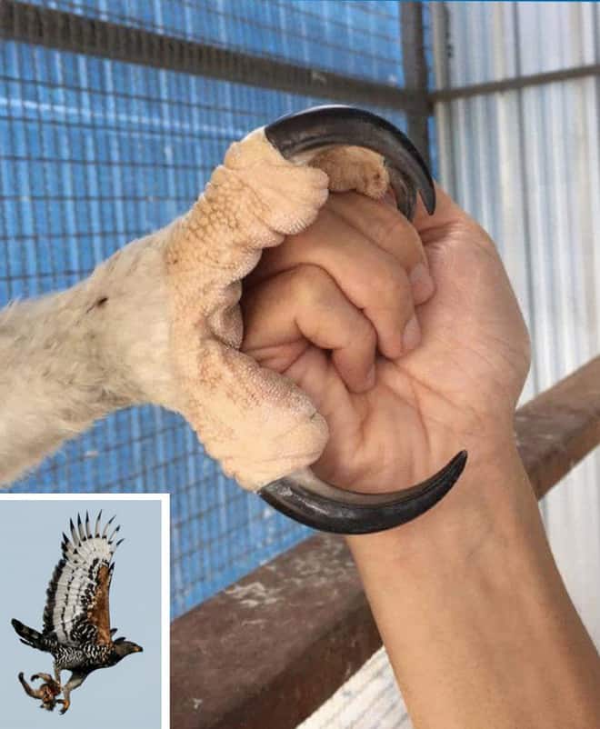 Những hình ảnh sẽ khiến bạn rất ngạc nhiên về thế giới mình đang sống