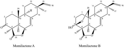 Công thức hóa học của hai hợp chất.