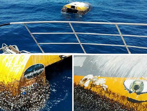 Con thuyền của Sunderland được một máy bay phát hiện ngoài khơi Australia