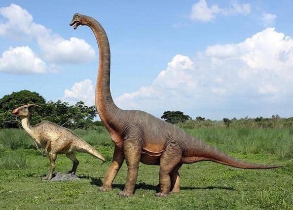 Top 17 chuyện lạ có thật trên thế giới, Việt Nam cũng góp mặt 