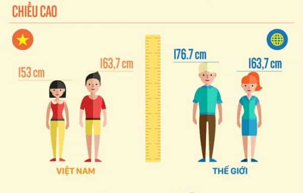 Chiều cao trung bình của người dân Việt Nam so với chuẩn thế giới.