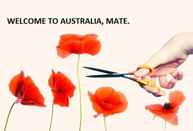 Nhung dieu gay ngac nhien cho nguoi lan dau toi Australia hinh anh 2 