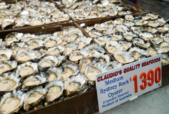 Chợ cá ở Australia nơi du khách dùng bữa chung với chim