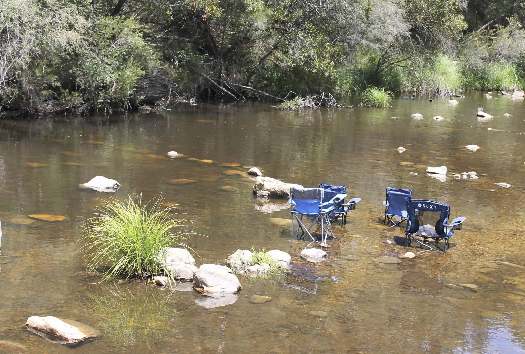 Micalong Creek Reserve