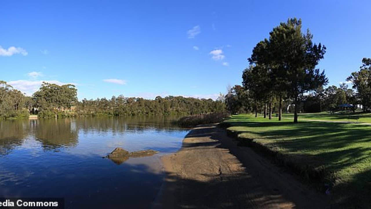Ross River virus detected in Sydney