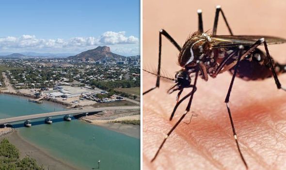 Ross River virus detected in Sydney