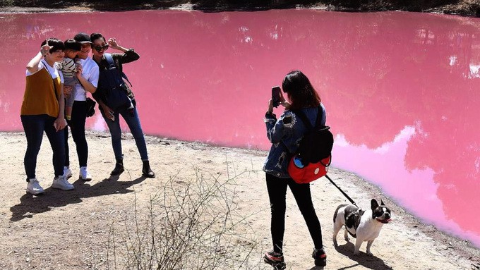 Hồ nước màu hồng bốc mùi trứng thối hút khách ở Australia