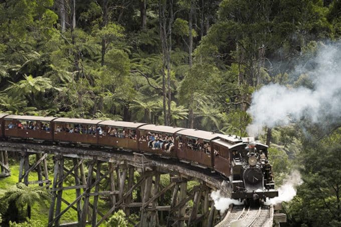 Tàu hơi nước cổ Puffing Billy.