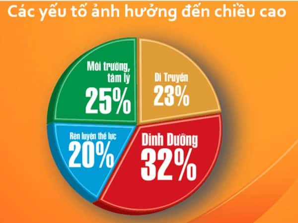 Nghiên cứu ghi nhận chế độ dinh dưỡng đóng vai trò quyết định chiều cao của con người. Kết quả này được công bố tại lễ phát động chương trình