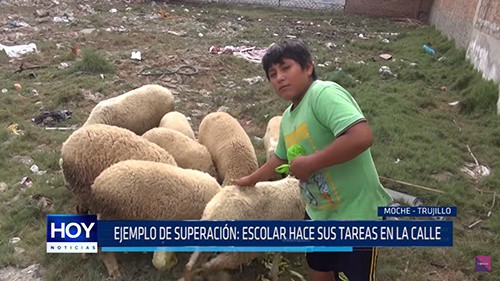 Gia đình Victor là một trường hợp đặc biệt khó khăn không hiếm gặp ở Peru. Ảnh: HOY.