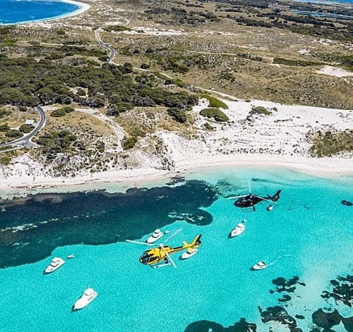Đảo Rottnest, địa điểm lặn sở hữu làn nước trong xanh cùng các rạn đá vôi với hơn 4.000 loài cá khác nhau cùng với các loài chim di cư thường đổ về đảo kiếm ăn trong suốt cả năm. Ảnh: Destination Perth.