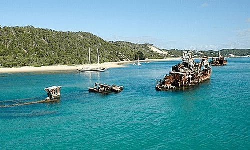 15 xác tàu bị đánh chìm vào năm 1963 ngoài khơi bờ biển đảo Moreton, gần khu nghỉ mát Tangalooma đã hình thành nên một rạn san hô nhân tạo đầy cá, rùa xanh, cá đuối và cá mập Wobbegong nhỏ. Lặn biển tại Tangalooma là nơi thích hợp nhất cho những người lần đầu trải nghiệm hoạt động lặn biển. Ảnh: Pinterest.